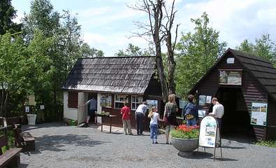 Hochmoor in Zinnwald-Georgenfeld